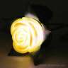 Роза светящаяся жёлтая 35 см - roseell1.jpg