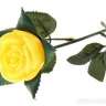 Роза светящаяся жёлтая 35 см - roseell2.jpg