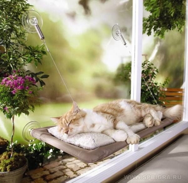 Оконная кровать для кошки Window Mounted Cat Bed