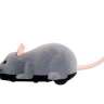 Электронная мышь на пульте - Электронная мышь на пульте