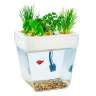Акваферма - набор для выращивания растений и ухода за рыбкой Aquafarm - Акваферма - набор для выращивания растений и ухода за рыбкой Aquafarm